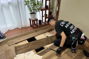 LINE_ALBUM_20240922 平塚市_260710_1
